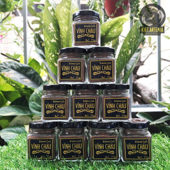 Trứng bào xác Artemia Vĩnh Châu