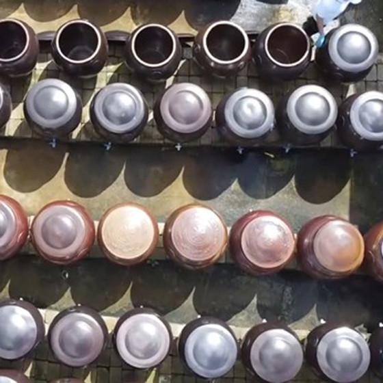 Nước mắm Đại Hải Ngư