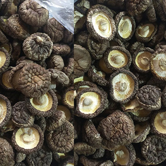 Nấm hương khô Hợp tác xã Hợp Giang 