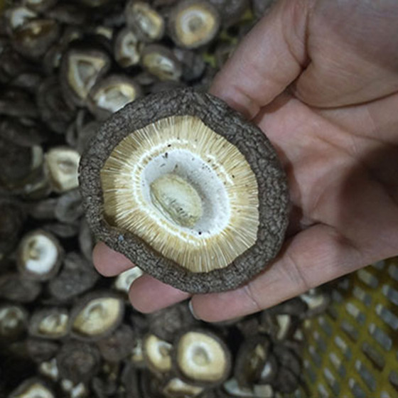 Nấm hương khô Hợp tác xã Hợp Giang 