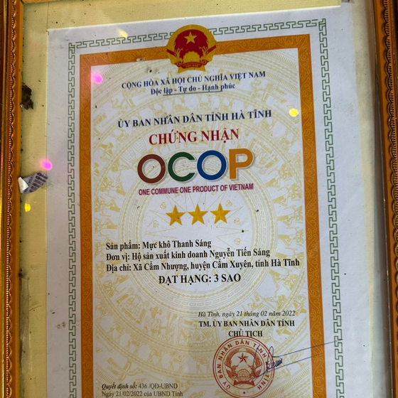 Mực khô Thanh Sáng 