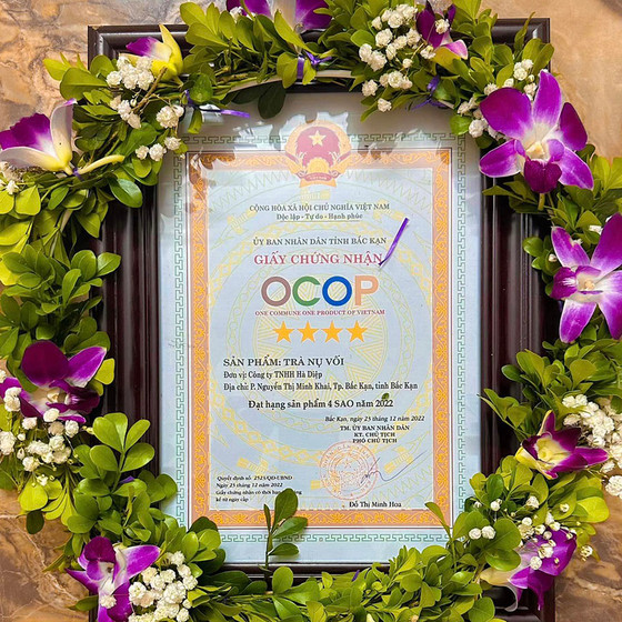 Trà nụ vối Hà Diệp