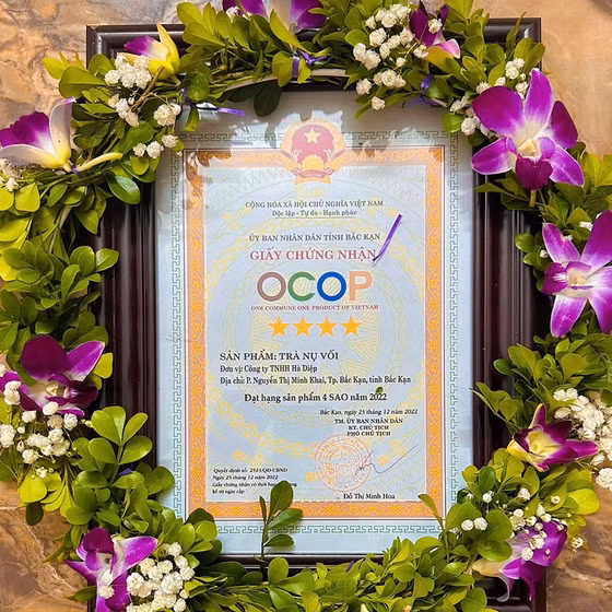 Trà nụ vối Hà Diệp