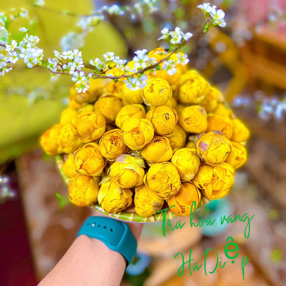 Trà hoa vàng Bắc Kạn túi lọc 