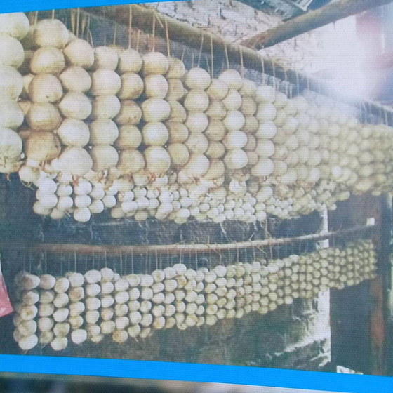 Rượu men lá Thanh Tâm