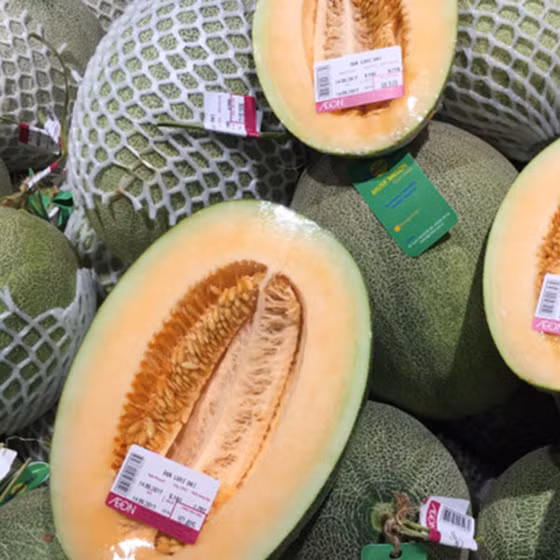 Dưa lưới Unifarm 