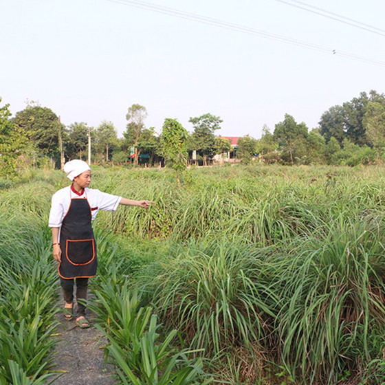Bột nêm dinh dưỡng Tinh Hoa