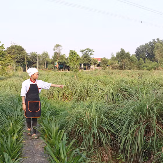 Bột nêm dinh dưỡng Tinh Hoa