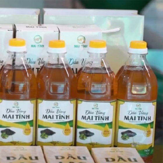 Dầu vừng Mai Tĩnh