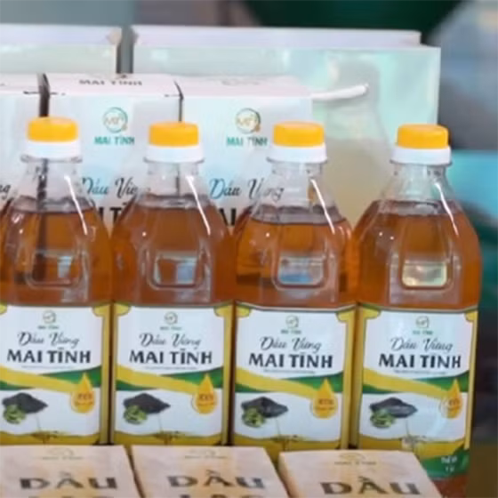 Dầu vừng Mai Tĩnh