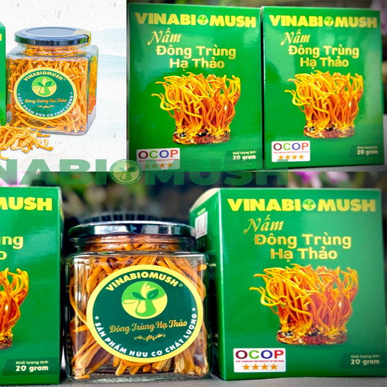 Nấm Đông trùng hạ thảo khô Vinabiomush