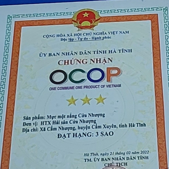 Mực một nắng Cửa Nhượng