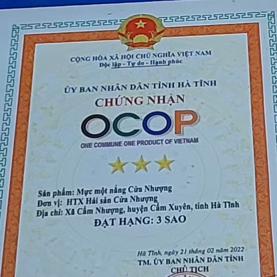 Mực một nắng Cửa Nhượng