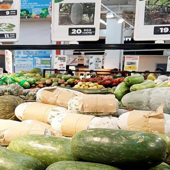 Bí xanh thơm Bắc Kạn