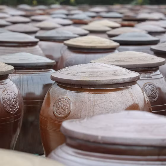 Nước mắm Luận Nghiệp