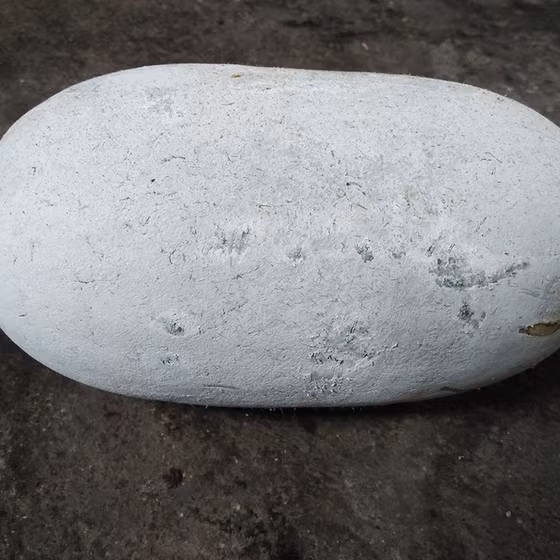 Bí xanh thơm Bắc Kạn