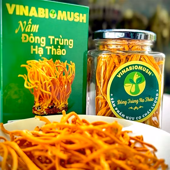 Nấm Đông trùng hạ thảo khô Vinabiomush