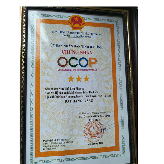 Mực khô Liễu Phượng