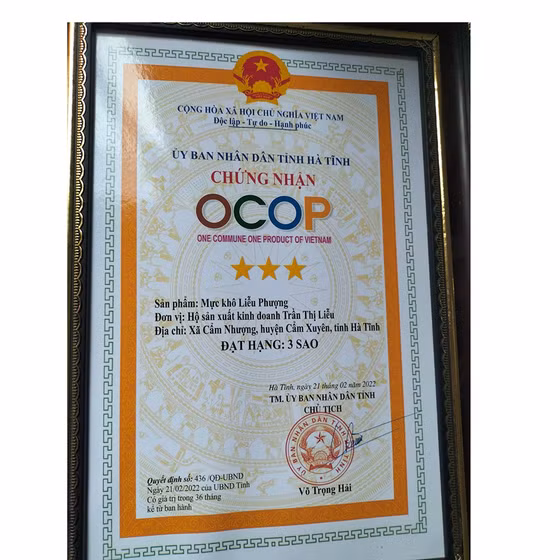 Mực khô Liễu Phượng