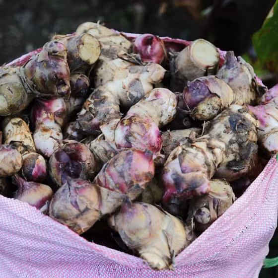 Miến dong Huấn Liên