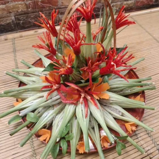 Ốc hấp đèn lồng Bà ngoại