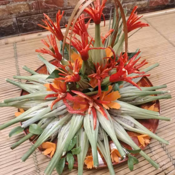 Ốc hấp đèn lồng Bà ngoại