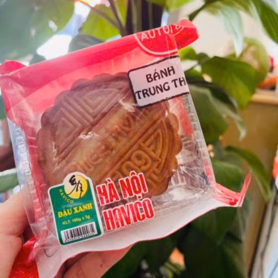 Bánh nướng nhân đậu xanh HAVICO