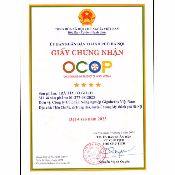 Trà tía tô Gold
