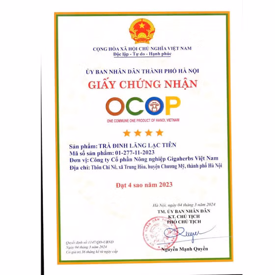 Trà đinh lăng lạc tiên