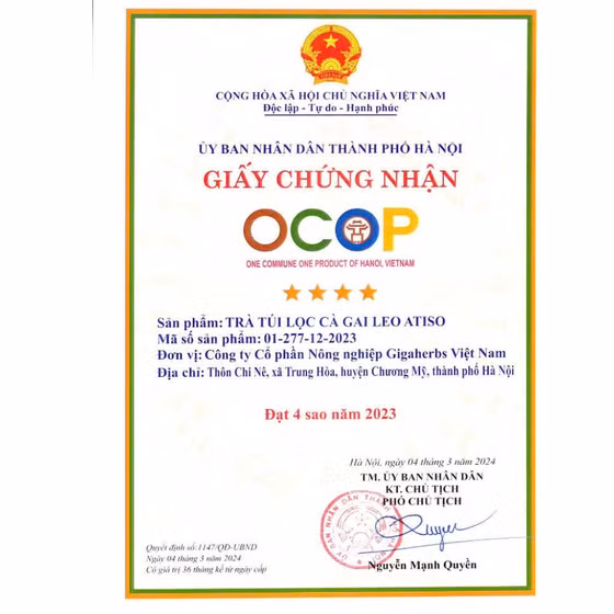 Trà túi lọc Cà gai leo Atiso