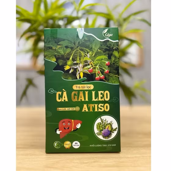 Trà túi lọc Cà gai leo Atiso