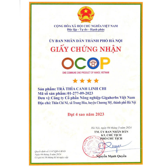 Trà thìa canh linh chi