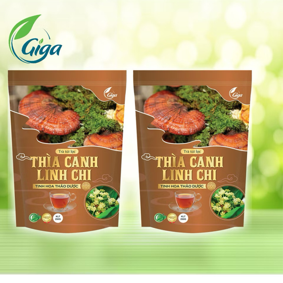 Trà thìa canh linh chi