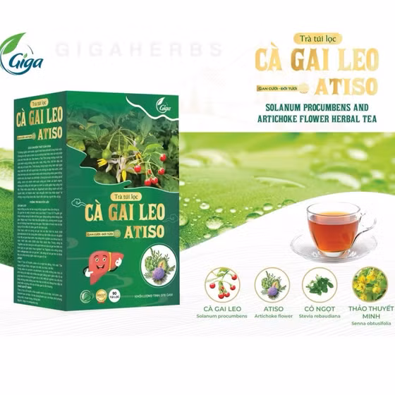 Trà túi lọc Cà gai leo Atiso