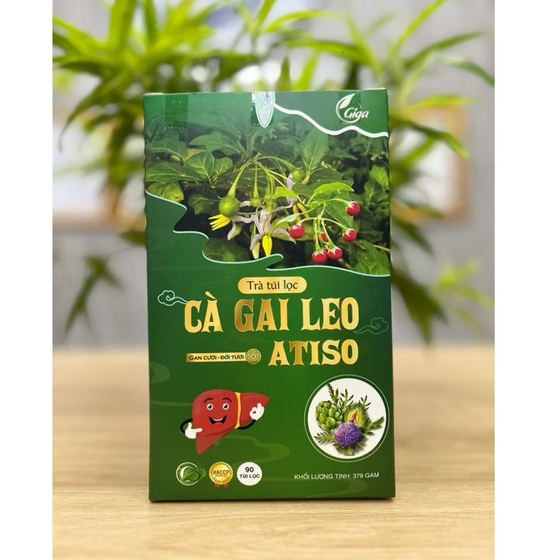 Trà túi lọc Cà gai leo Atiso