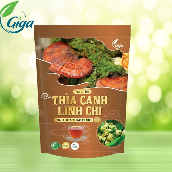 Trà thìa canh linh chi