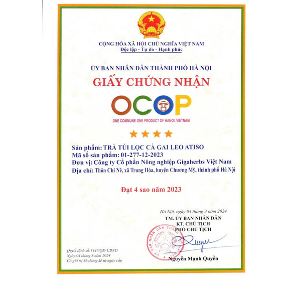 Trà túi lọc Cà gai leo Atiso