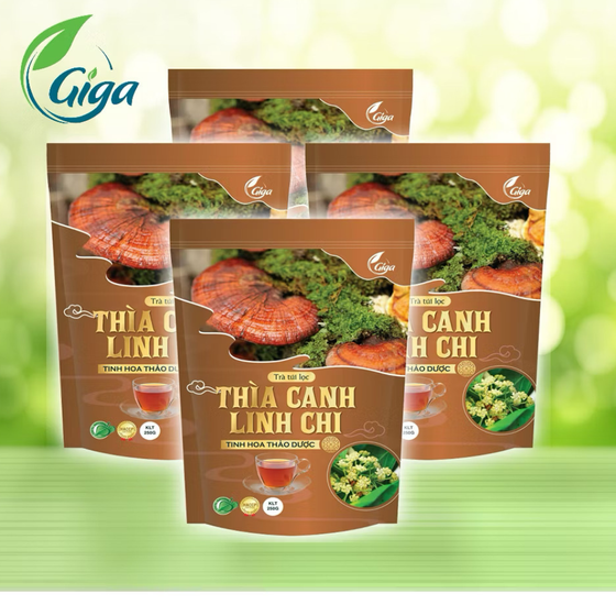 Trà thìa canh linh chi