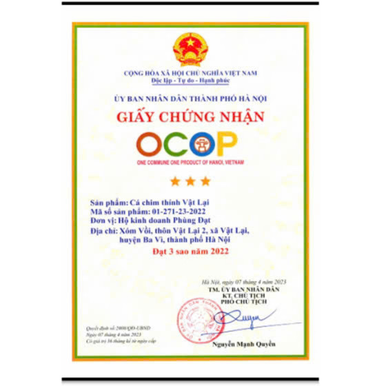 Cá chim thính Vật Lại