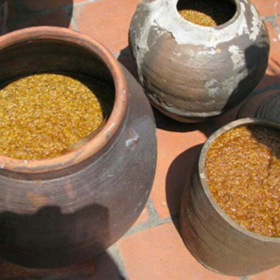 Tương Việt Hùng