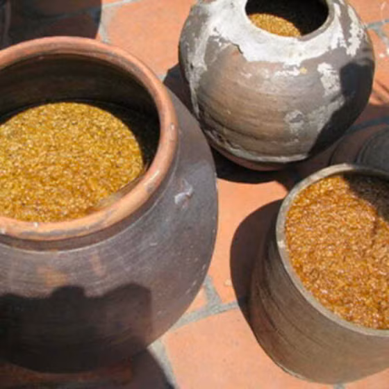 Tương Việt Hùng