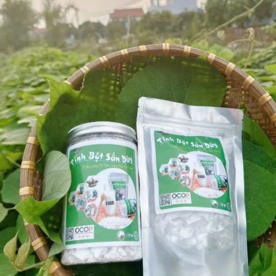 Tinh bột sắn dây VIAGRI