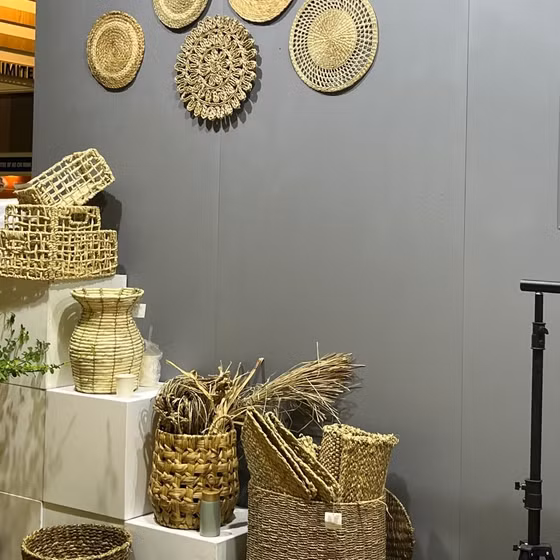 Đôn cói Việt Trang