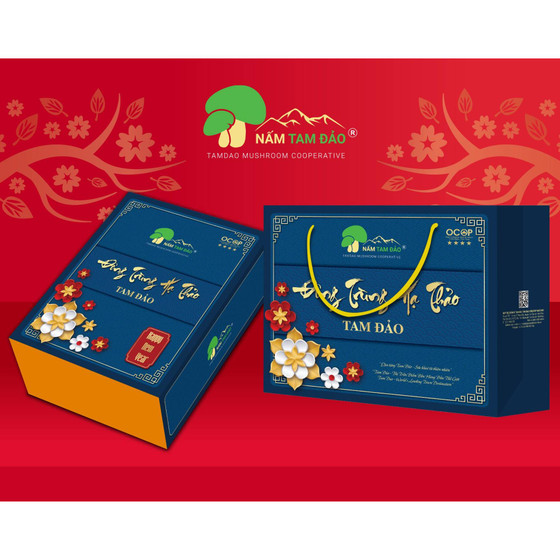 Đông trùng hạ thảo Tam Đảo sấy thăng hoa