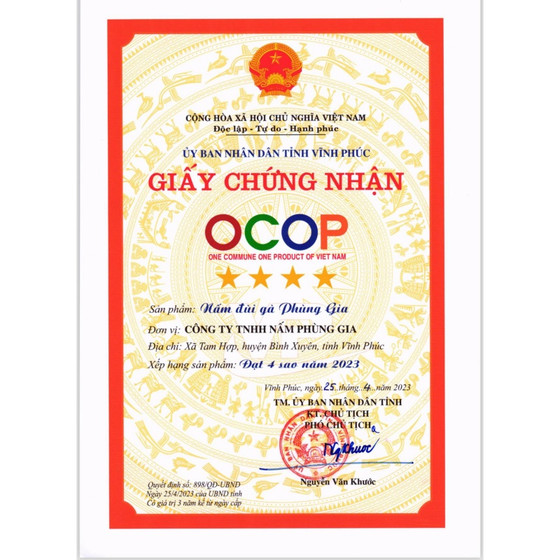 Nấm đùi gà Phùng Gia