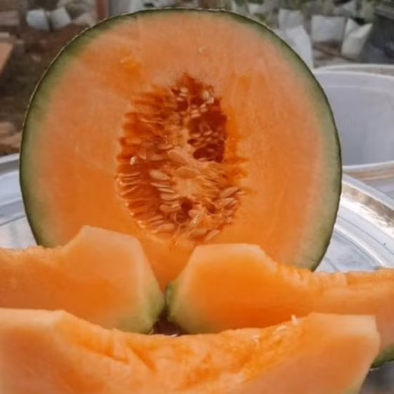 Dưa vàng Nam Giao