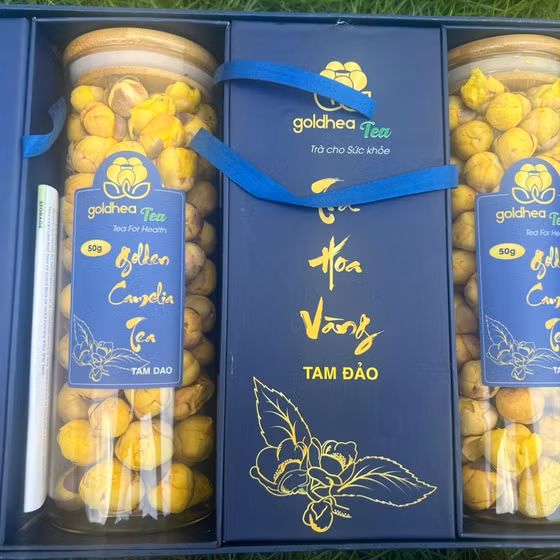 Trà hoa vàng Tam Đảo