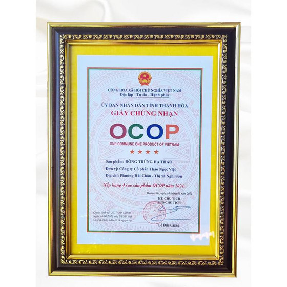 Đông trùng hạ thảo Thảo Ngọc Việt