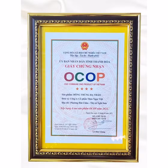 Đông trùng hạ thảo Thảo Ngọc Việt