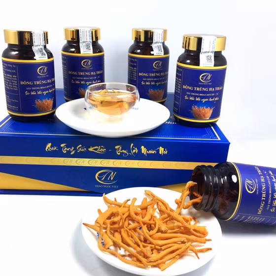 Đông trùng hạ thảo Thảo Ngọc Việt